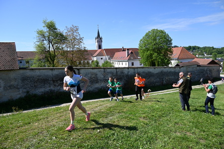 Uspešno izveden 36. Mekinjski kros  (16)